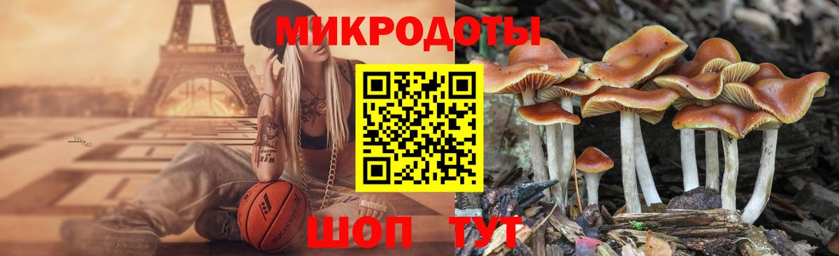 Саяногорск  где купить наркотик  Вход с VPN  Псилоцибиновые грибы Psilocybe 